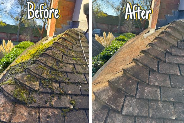 3BA85099-9F9C-4DC4-95C4-D70A42432A3E