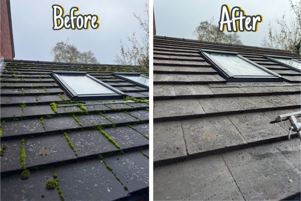 52F7B8F9-3DB7-4D4D-8CEE-45F0D1F0E665 copy