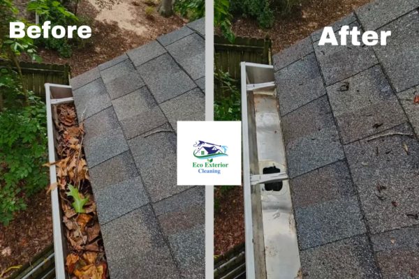 B0E48EE7-54F3-44BC-8F64-BF9319040177