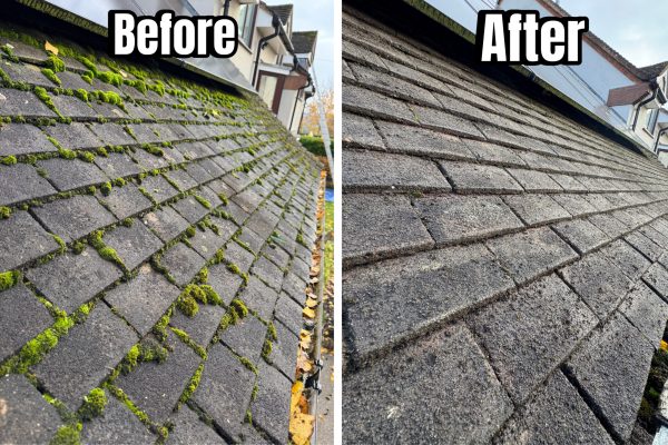 DF6019D2-B6DC-4E12-875D-579331100D55 copy