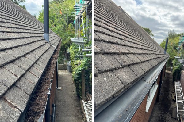 F420E33E-B84D-41D2-9C09-6B0ADA608E78